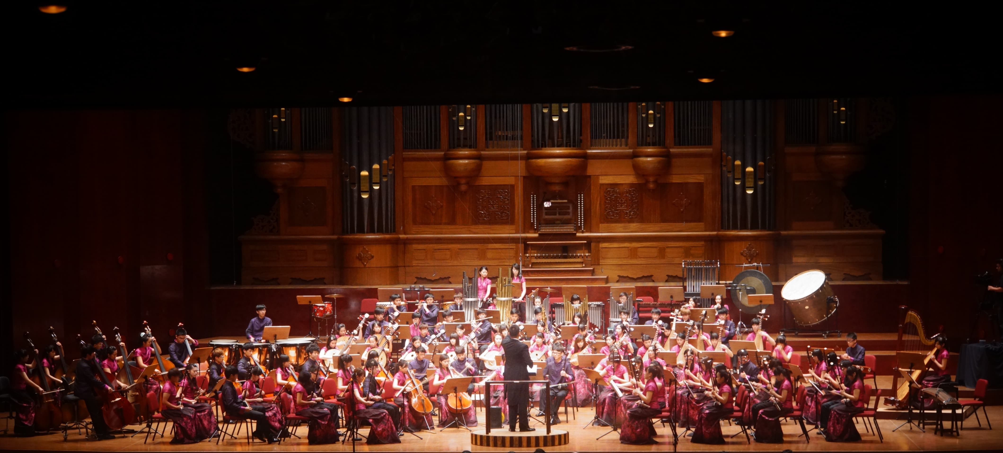 「南藝‧菁綻」國樂新星之夜