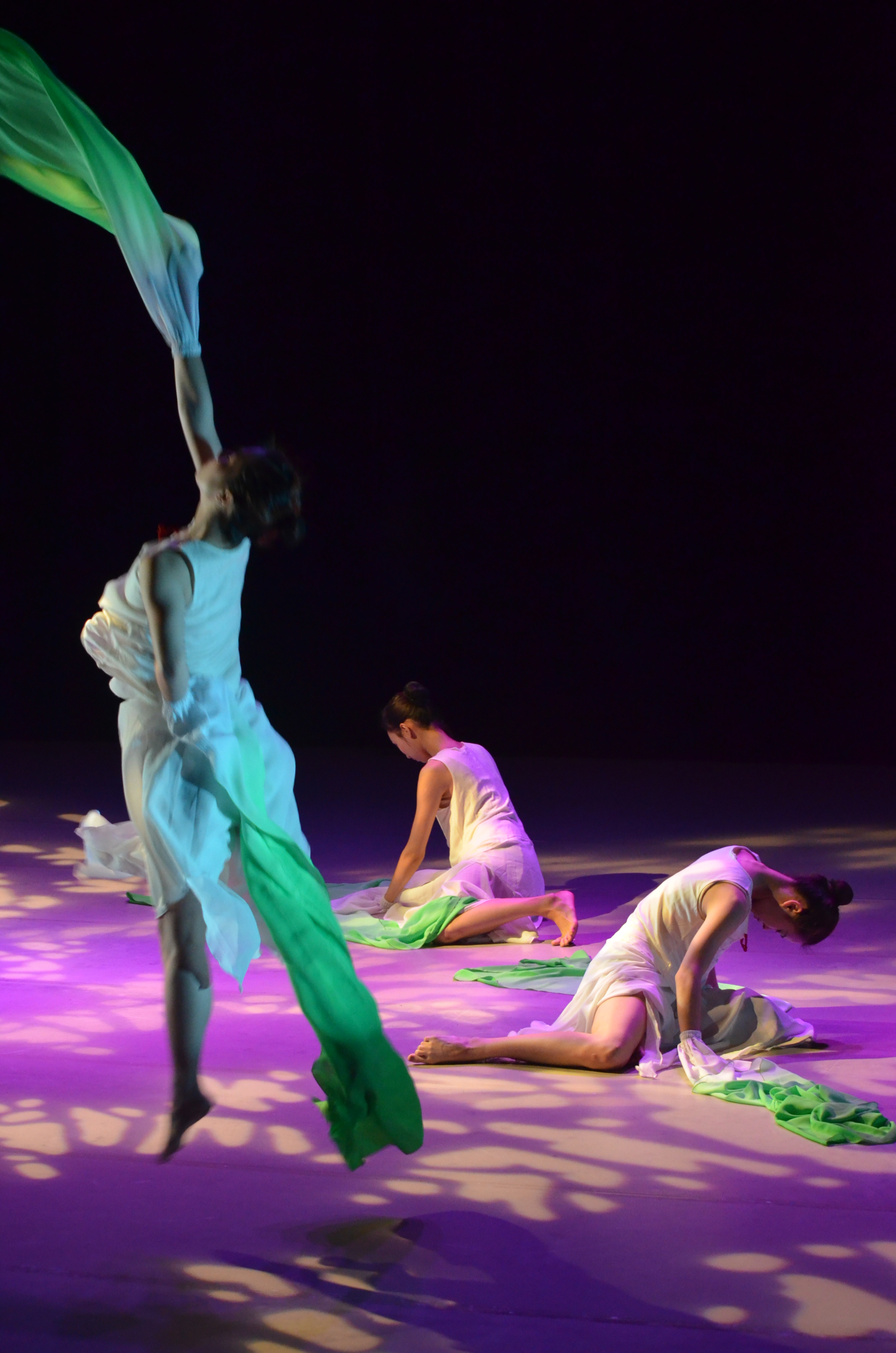 茶之舞韻-客藝‧回望